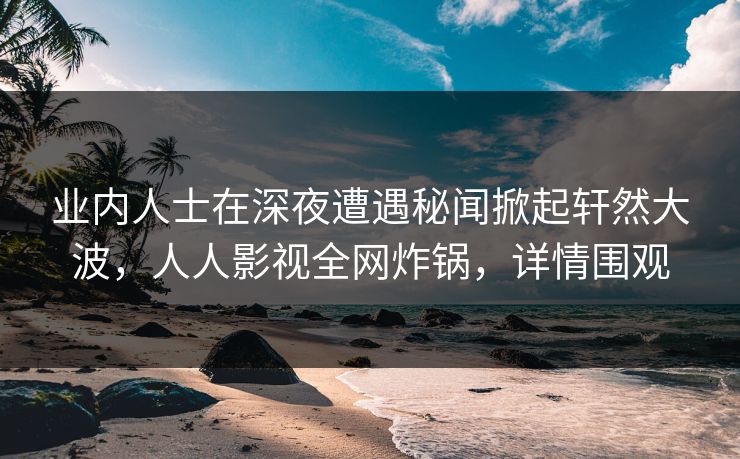 业内人士在深夜遭遇秘闻掀起轩然大波，人人影视全网炸锅，详情围观