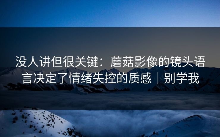 没人讲但很关键：蘑菇影像的镜头语言决定了情绪失控的质感｜别学我